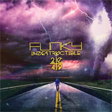 Funky - Indestructible